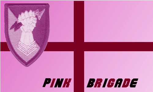 File:Pink Brigade flag.png