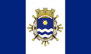 The North Pacific flag.webp