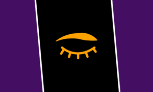 Ender Order Flag.png