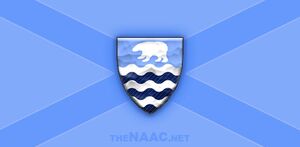 NAAC Flag.jpg