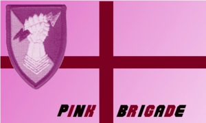 Pink Brigade flag.png