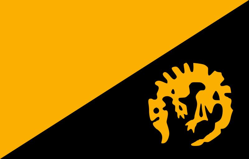File:The Order of the Paradox flag.svg